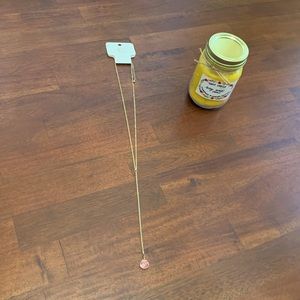 NWT Gold & Pink Lariat Necklace